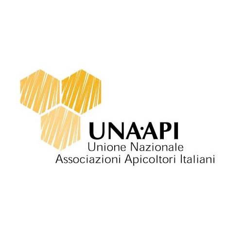 logo UNAAPI